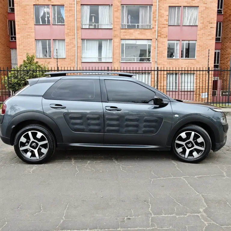 Miniatura 5