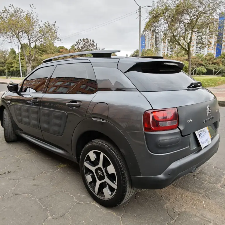 Miniatura 6