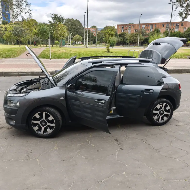 Miniatura 8