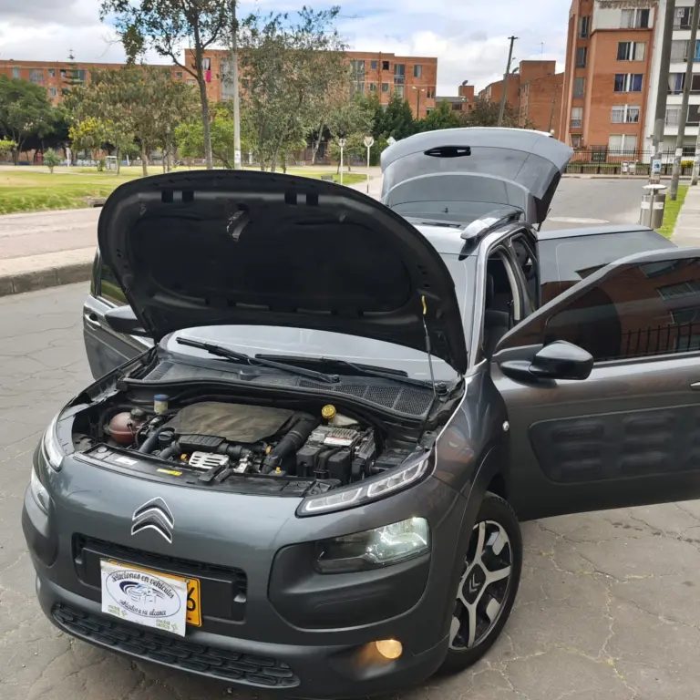 Miniatura 9