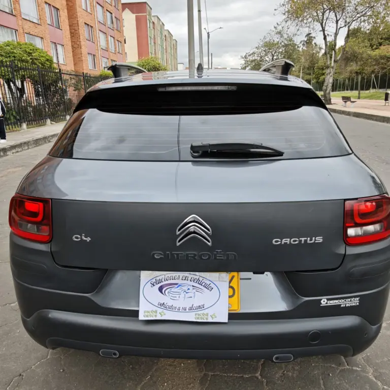 Miniatura 10