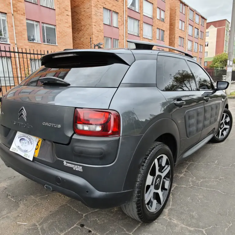 Miniatura 11