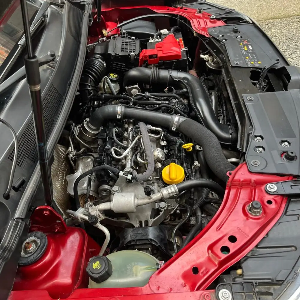 Miniatura 15